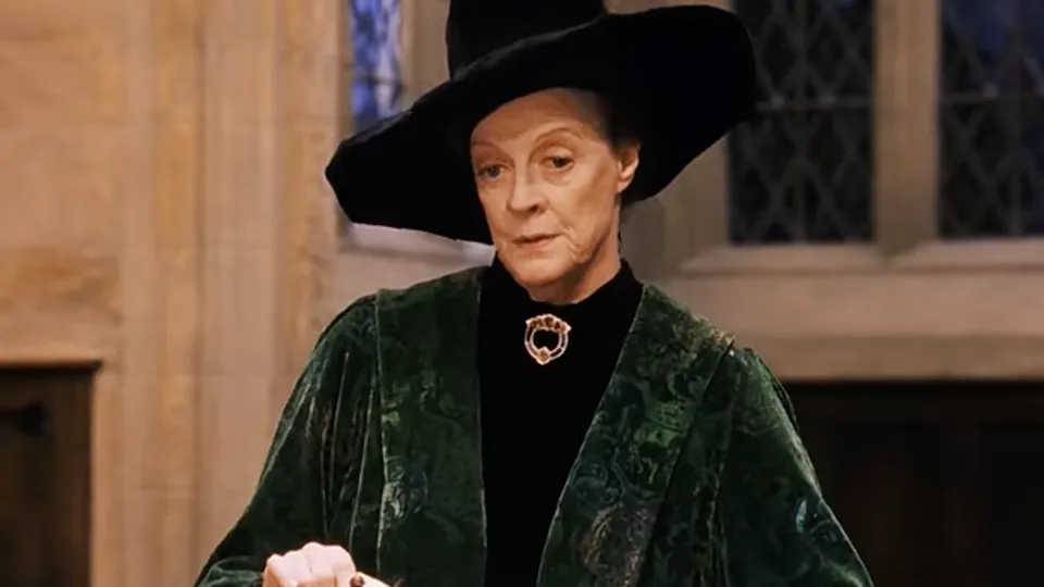 Кадр из фильма «Гарри Поттер и филосовский камень». Режиссер К. Коламбус. 2001 год