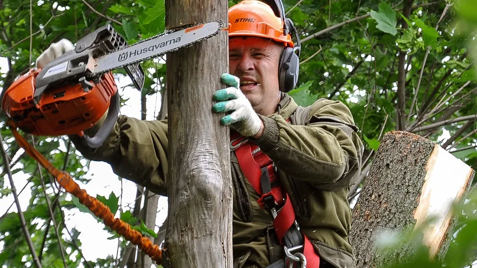 Фото: ТАСС/Мария Деркунская