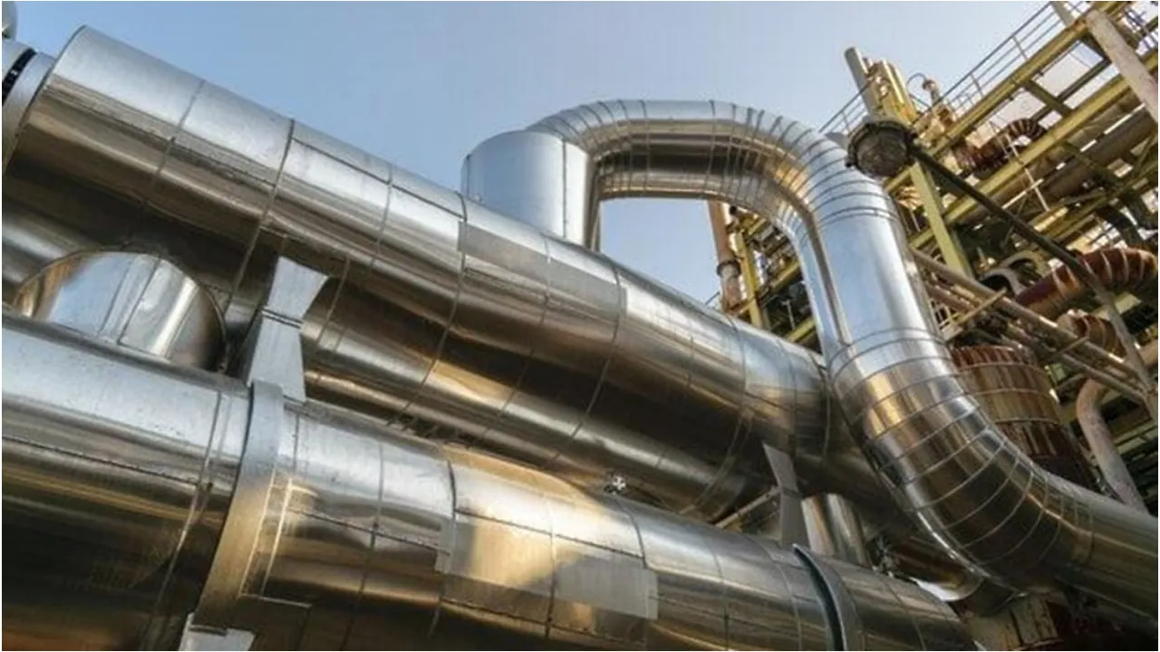 © Пресс-служба Министерства экологии и природопользования Московской области