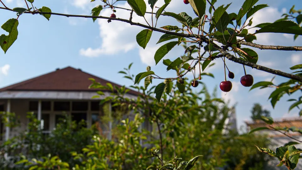Фото: медиасток.рф