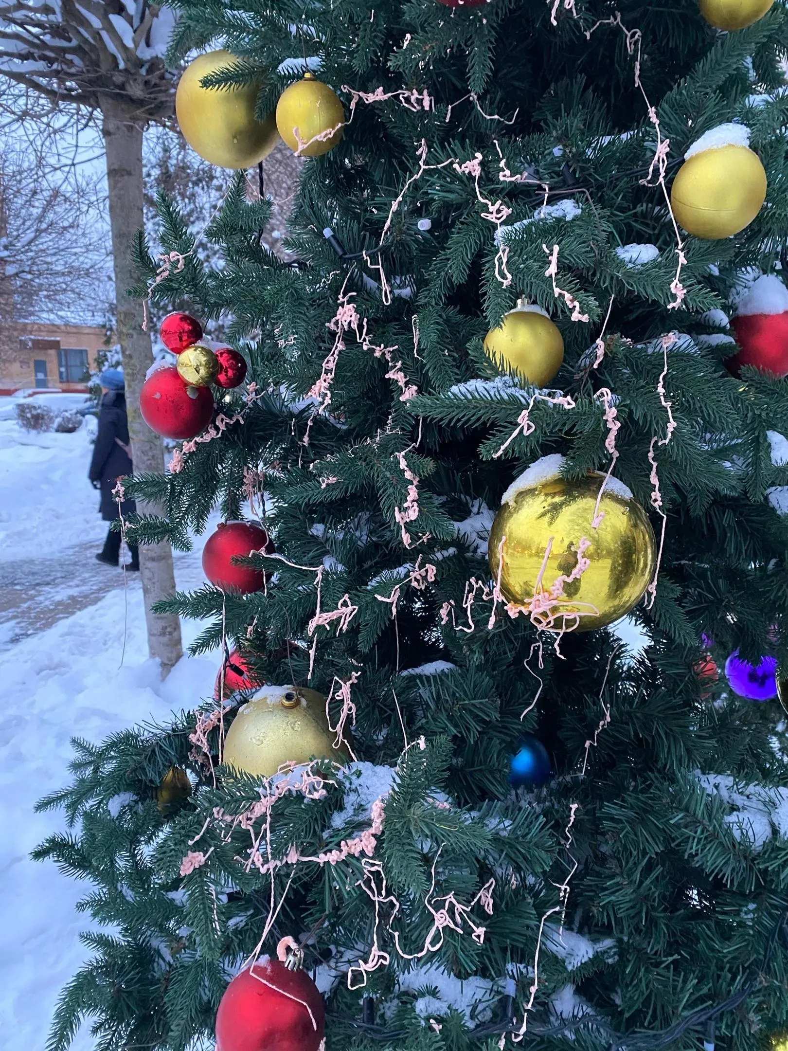 Фото: Подслушано | Истра / ВКонтакте