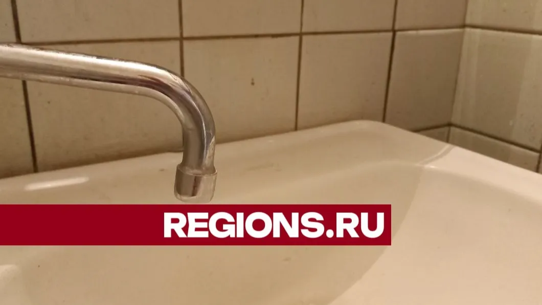 Фото: Олег Книжник