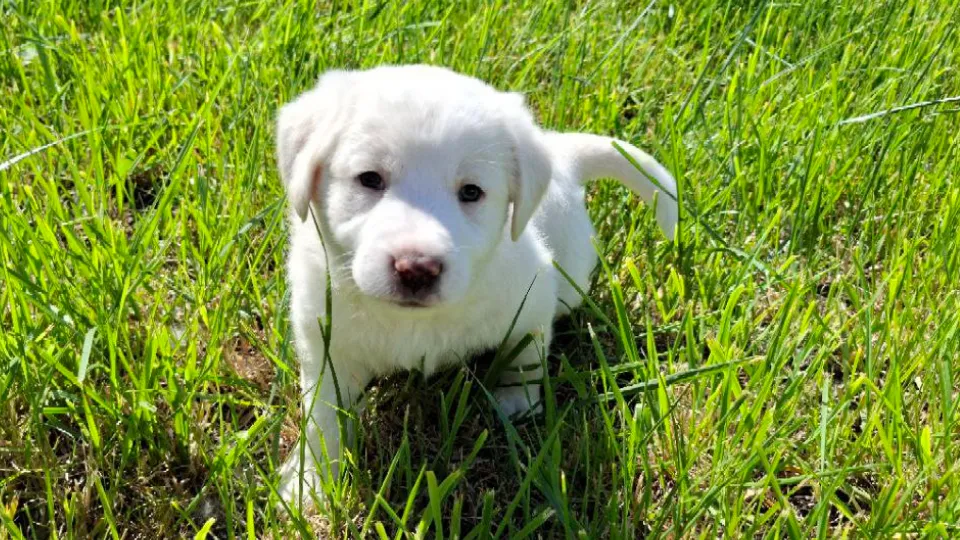 Фото: REGIONS/Юлия Габбасова