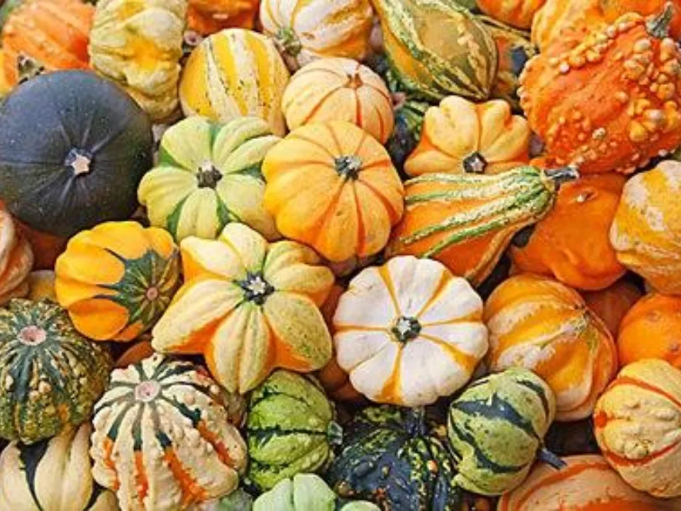 Фото: Министерство по содержанию территорий и государственному жилищному надзору МО