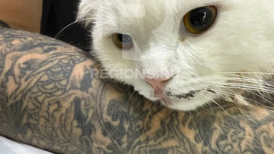 Фото предоставлено волонтером Надеждой