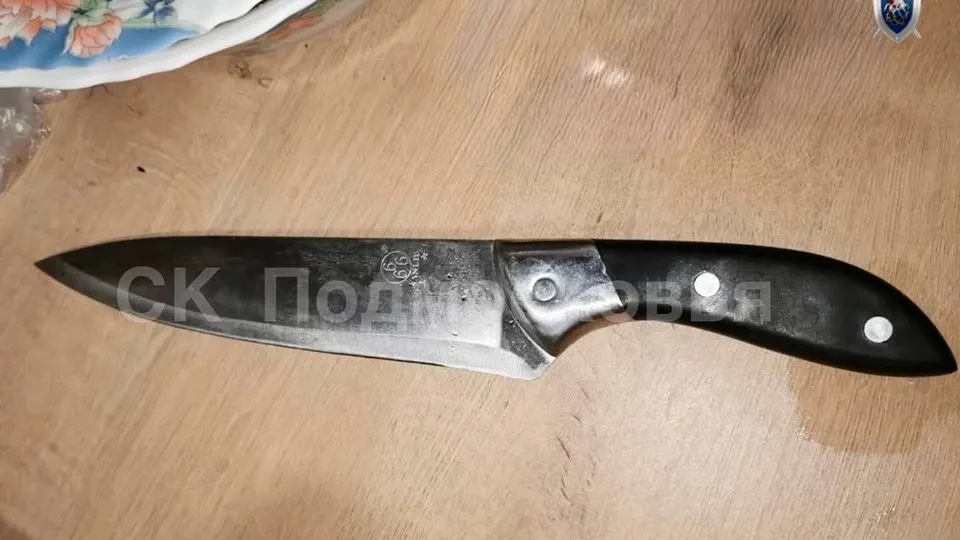 Фото: управление СК РФ по Московской области