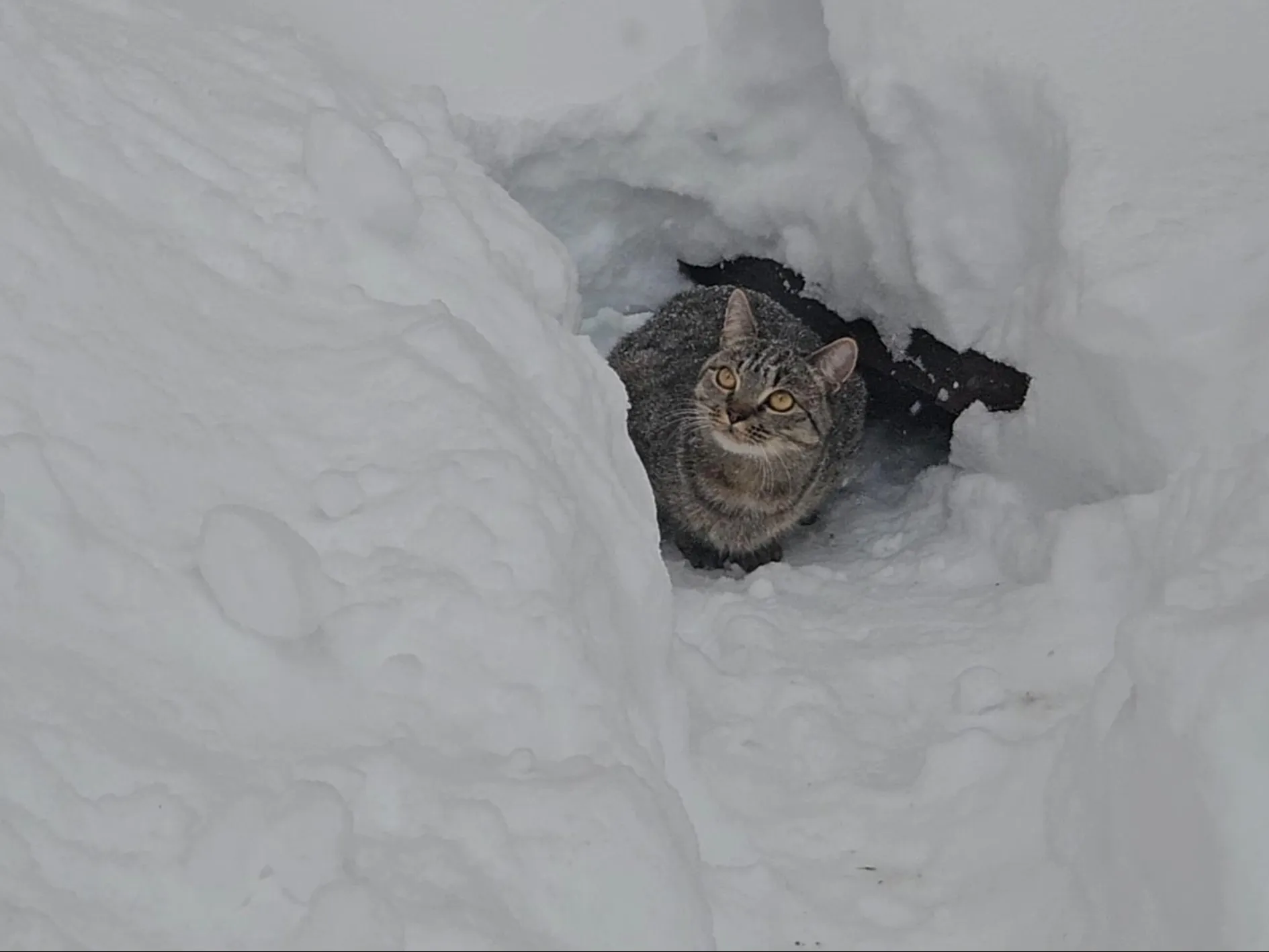 Фото: МедиаБанк Подмосковья/Ольга Вельшикаева