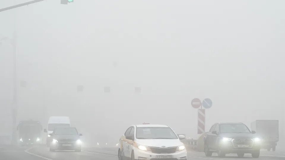 Фото: медиасток.рф