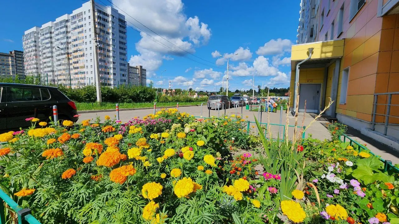 Валерия Тингаева