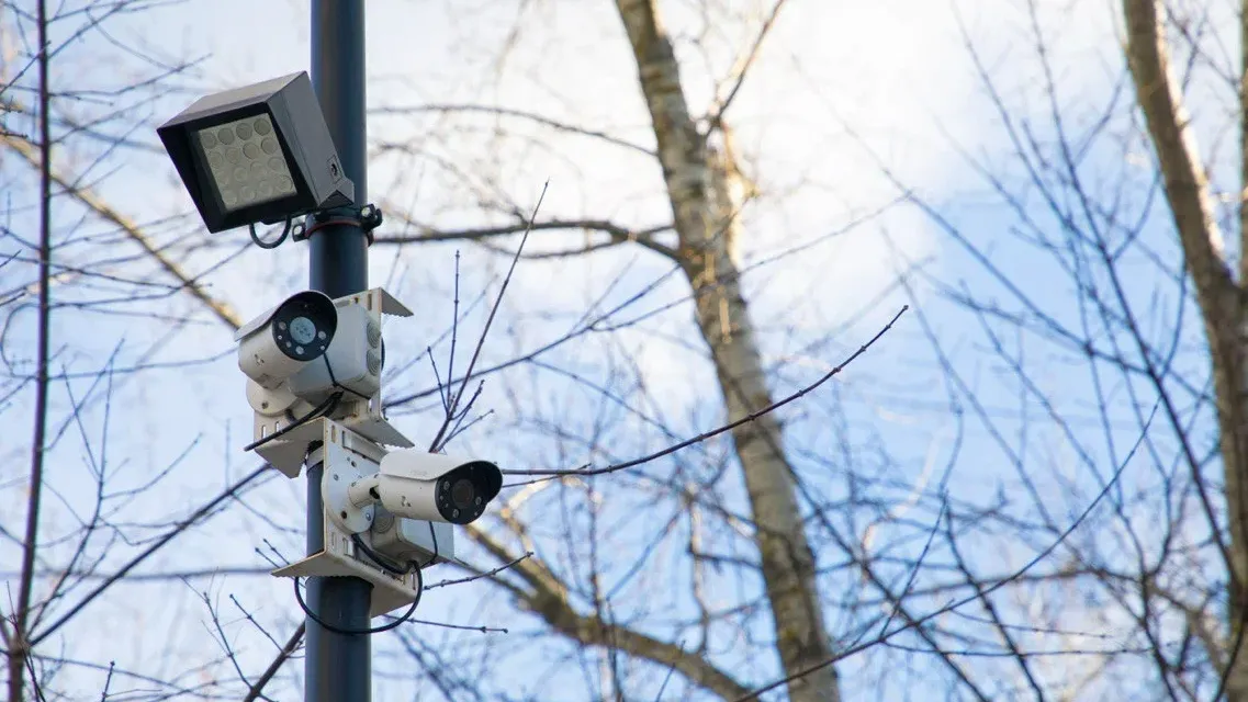 Фото: пресс-служба губернатора и правительства Московской области