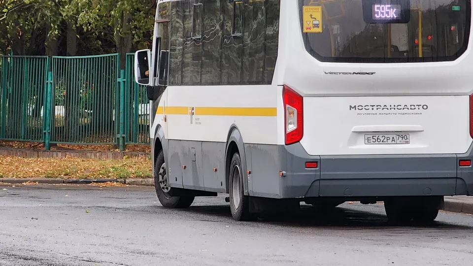 Фото: МедиаБанк Подмосковья/Фельдфебелева Ольга