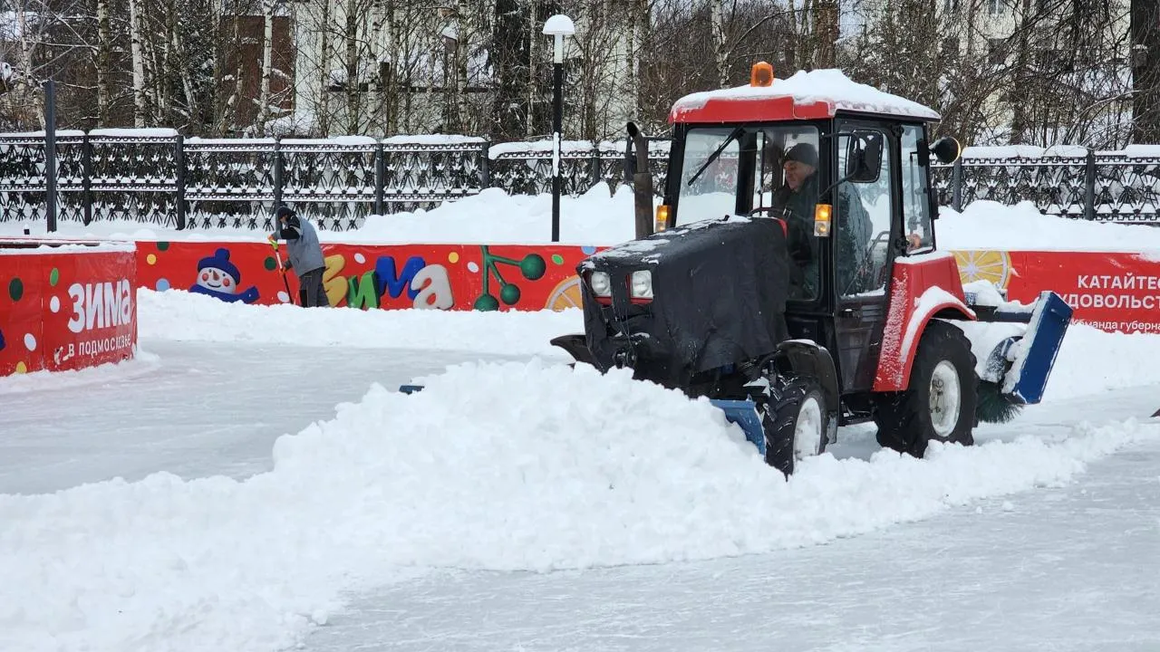 REGIONS/Мария Шигорева