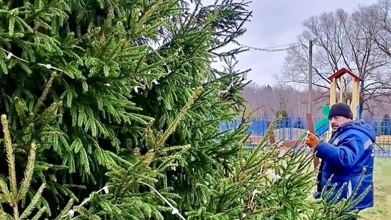 Фото: пресс-служба администрации Наро-Фоминского г.о.