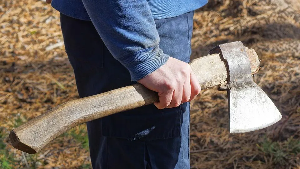 Фото: istockphoto.com/Анатолий Тушенцов