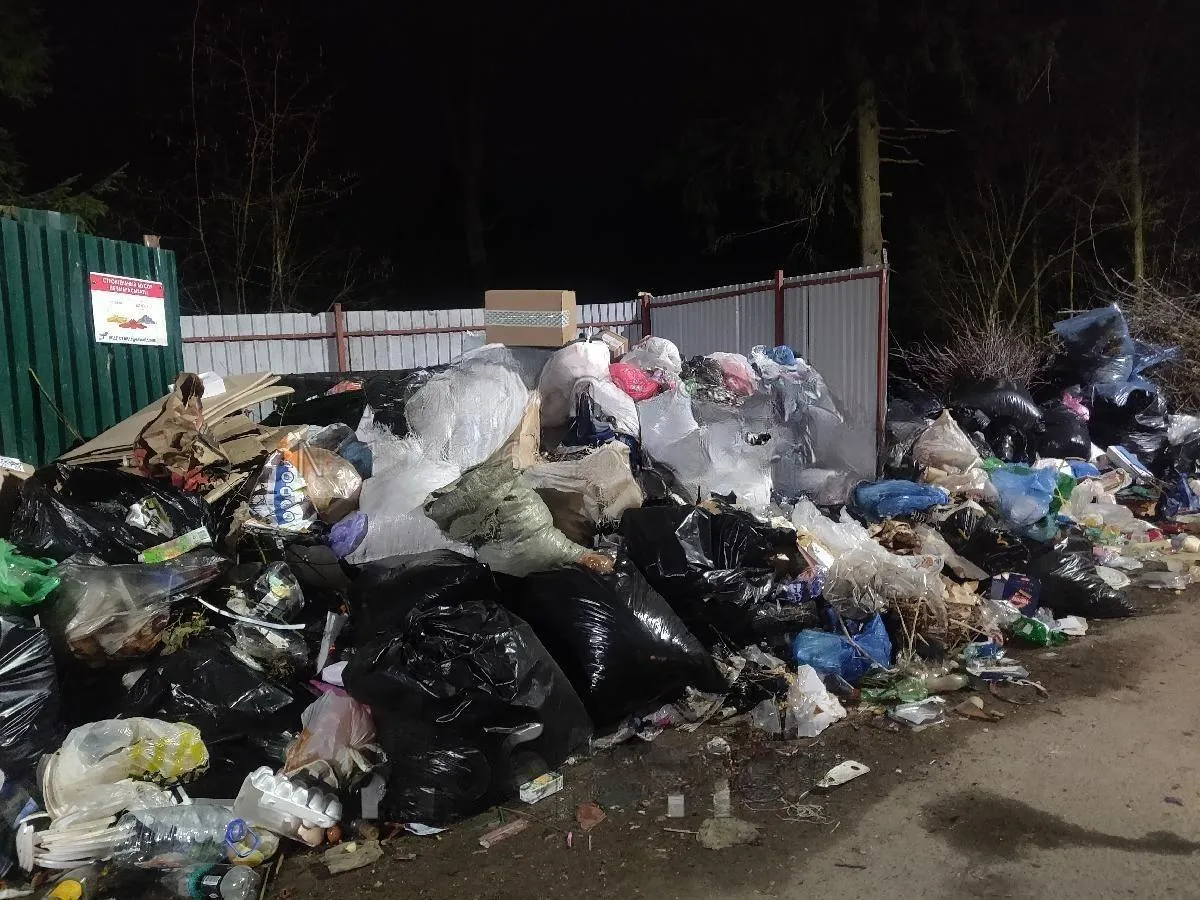 Фото: vmeste.mosreg.ru/Геннадий Доронин