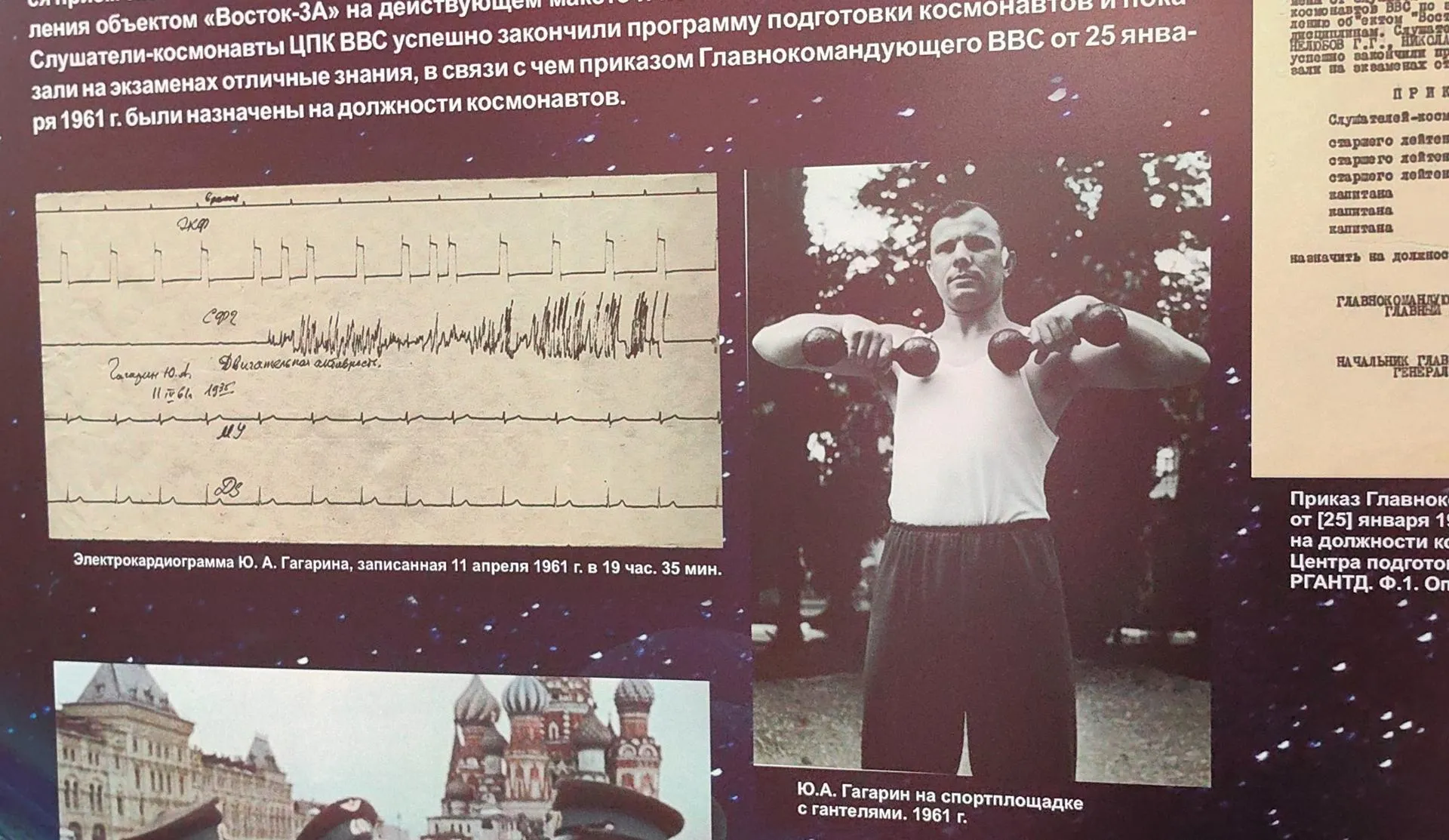 Елена Катасонова