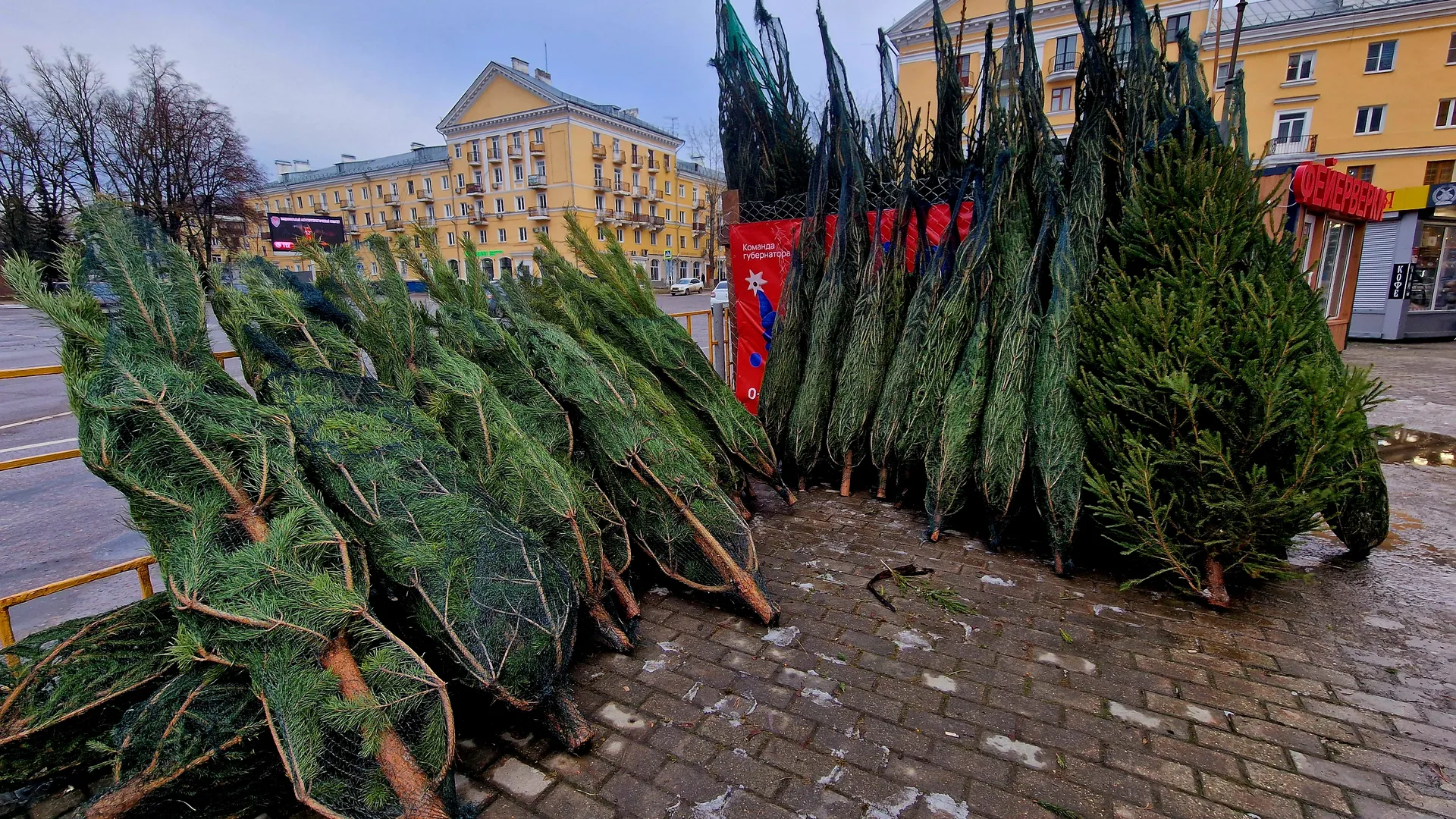 Фото: REGIONS/Ольга Шаронова