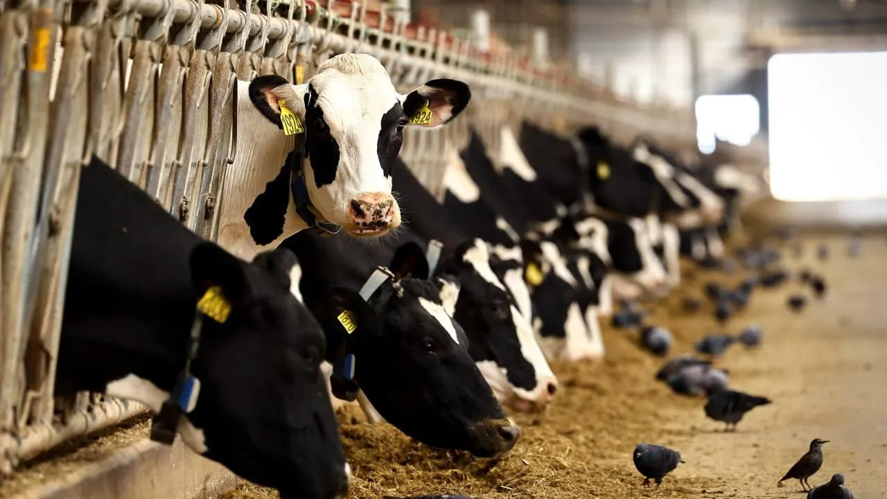 Фото: пресс-служба губернатора и правительства Московской области