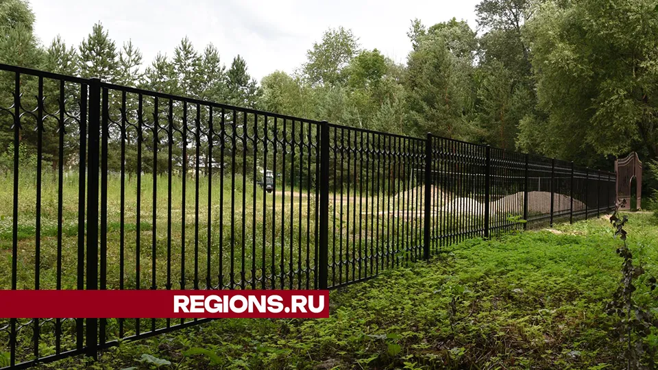 Фото: Владимир Останин