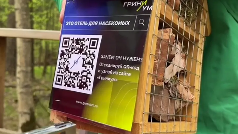 Фото: Официальный сайт национального парка «Лосиный остров»