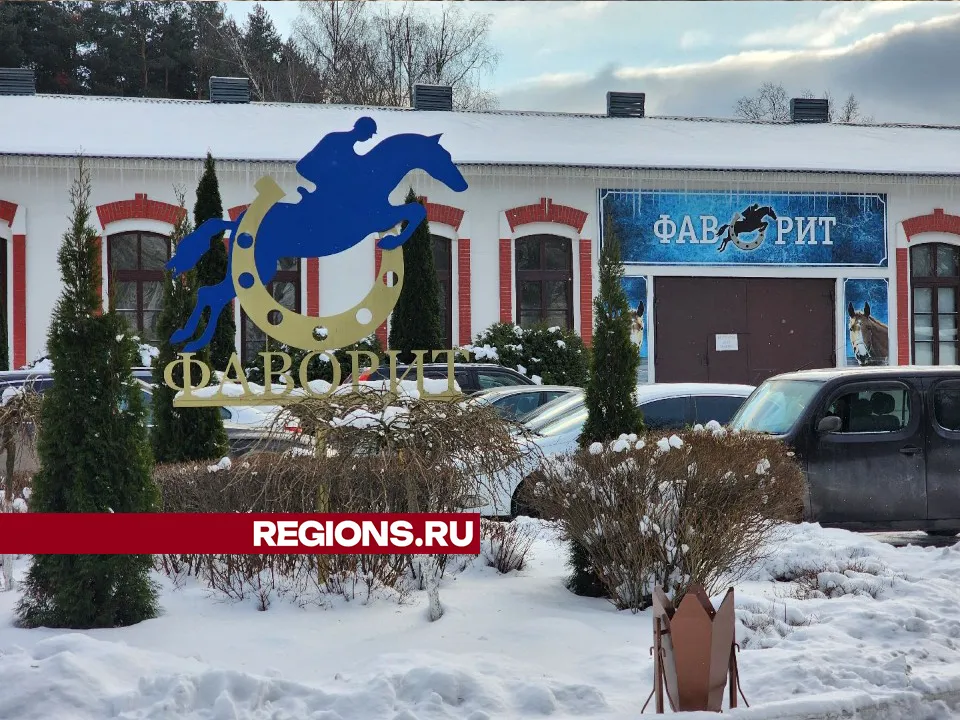 Фото: Мария Шигорева