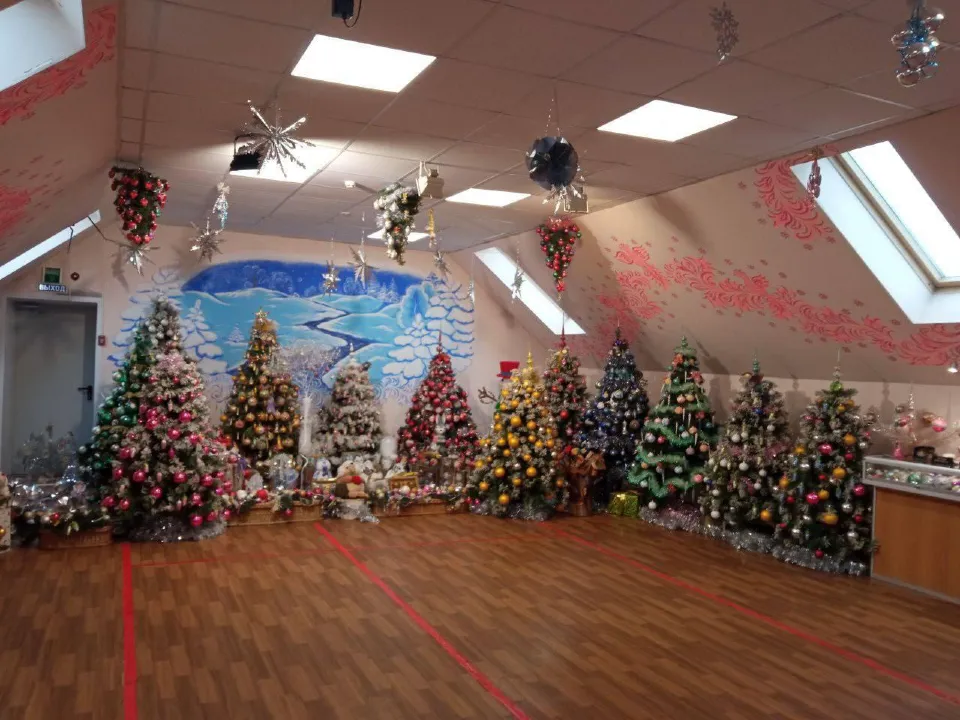 Фото: Администрация Павлово-Посадского г.о.