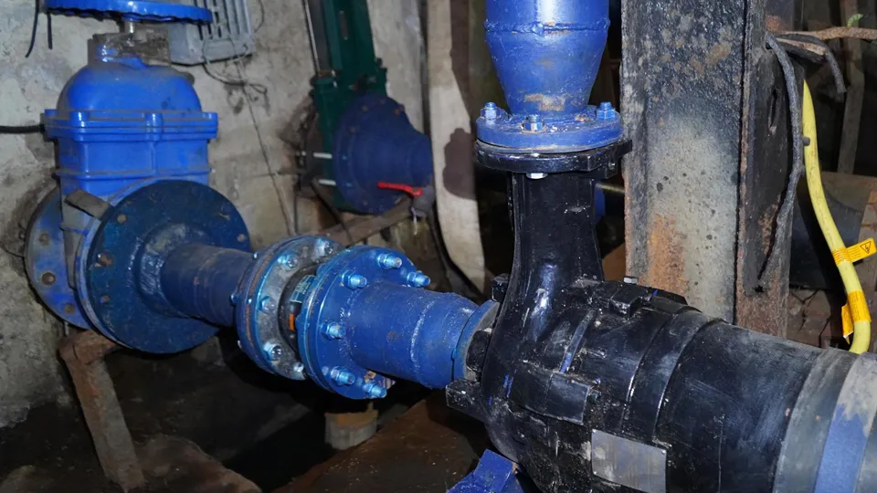 Фото: REGIONS/Елена Катасонова