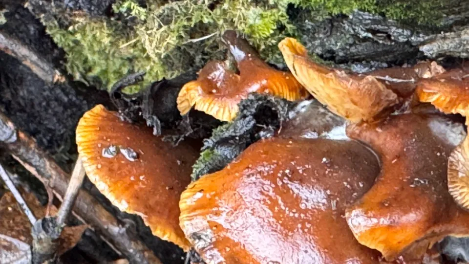 Фото: МедиаБанк Подмосковья/Мария Шматкова