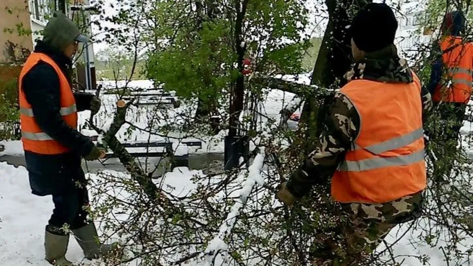 Фото: Минчистоты Московской области