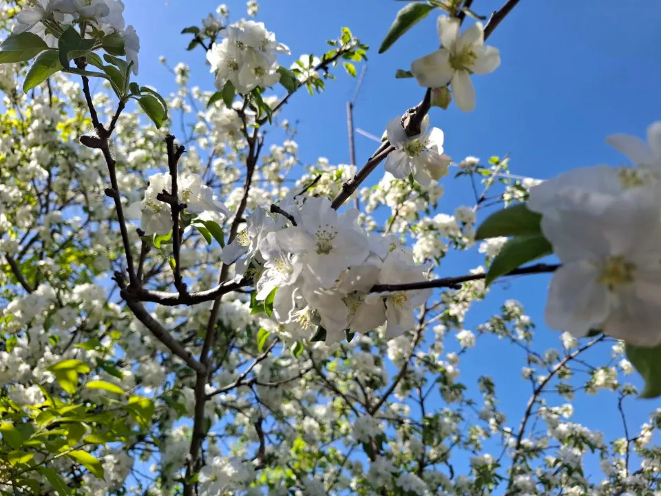 Фото: REGIONS/Юлия Габбасова