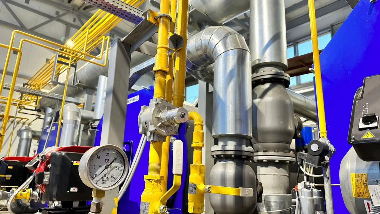 Фото: МедиаБанк Подмосковья\Лилия Закирова