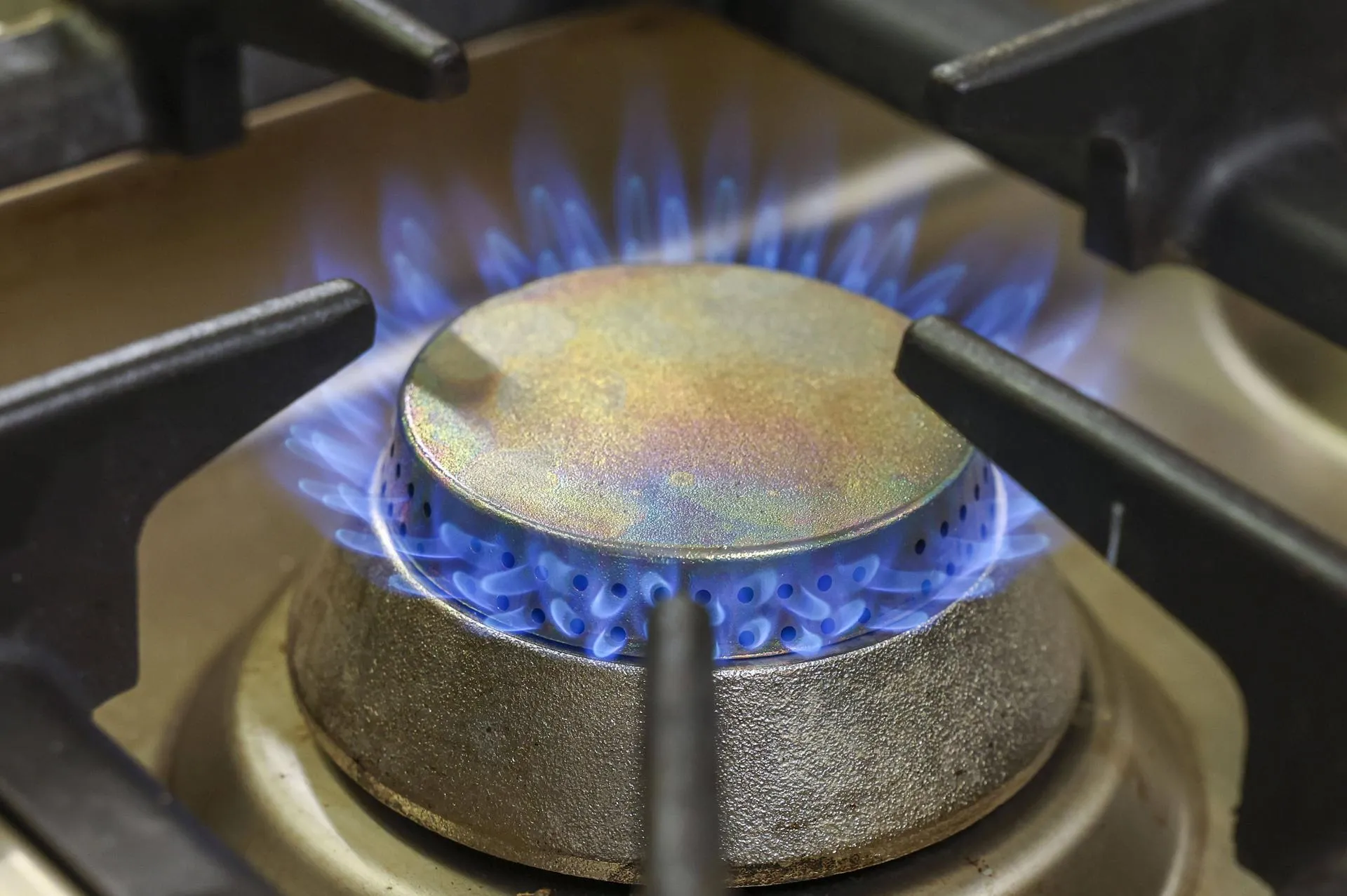 IMAGO/Robert Schmiegelt