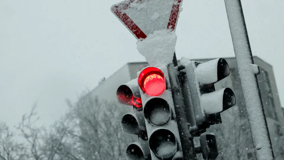 Фото: ТАСС/DPA/Picture-Alliance/Christian Charisius