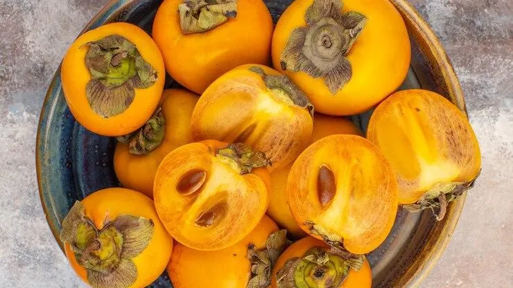 медиасток.рф