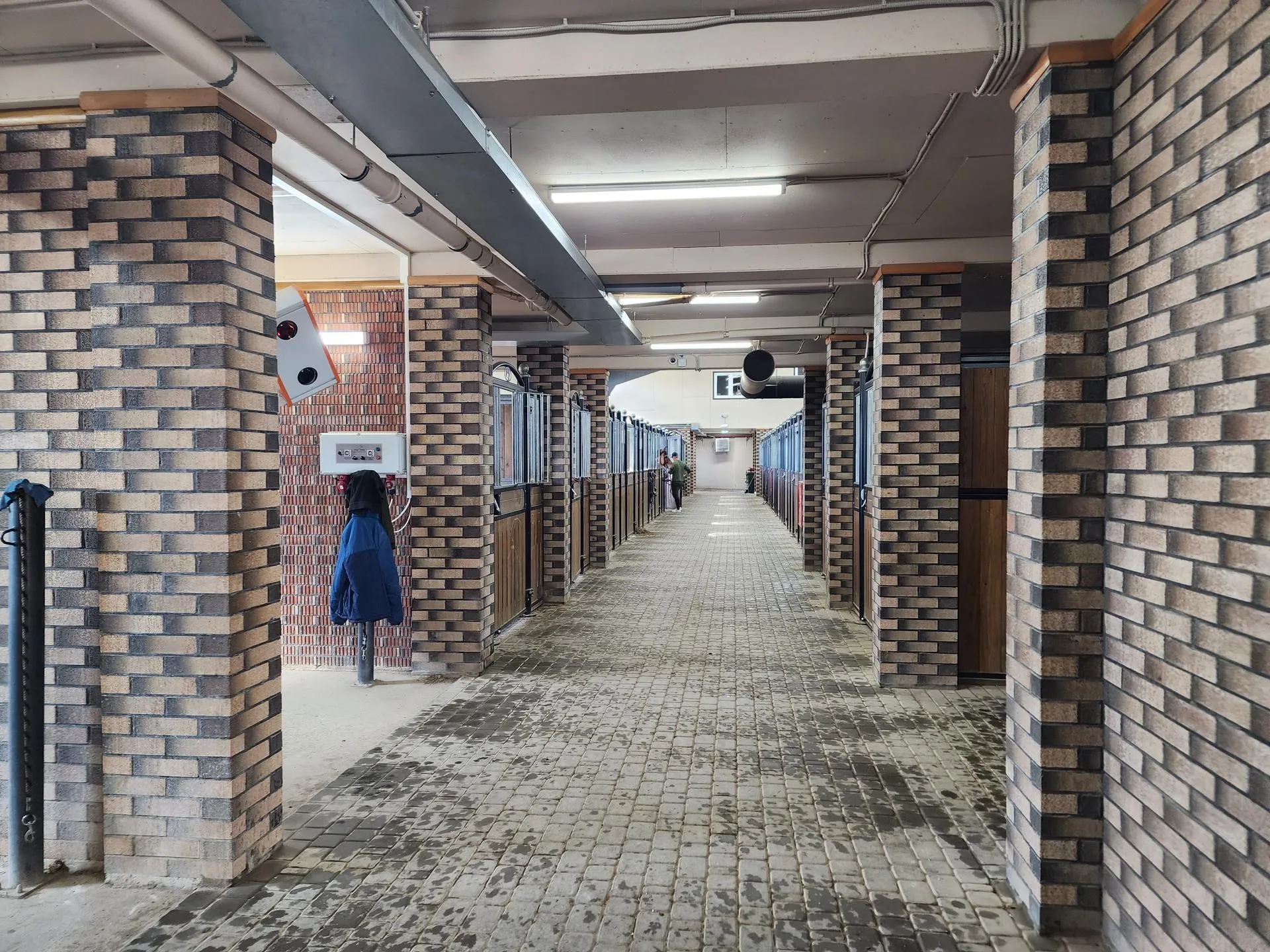 Фото: Андрей Семибратов