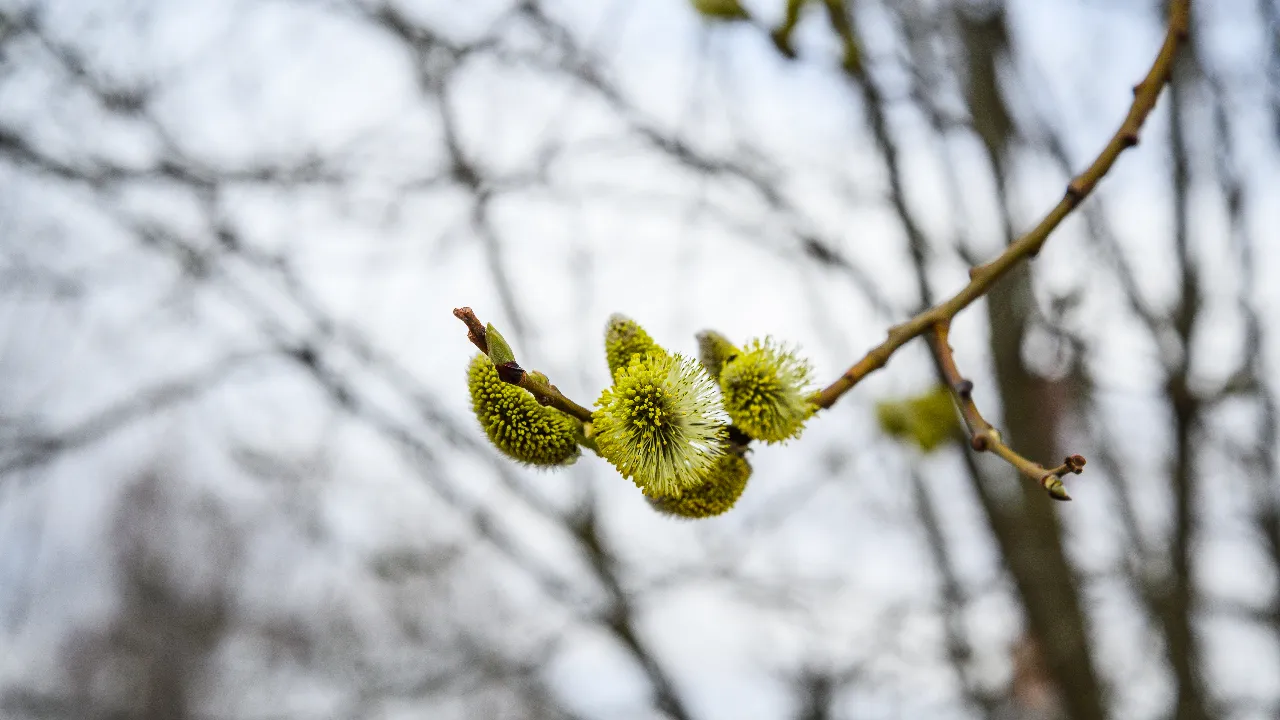 медиасток.рф