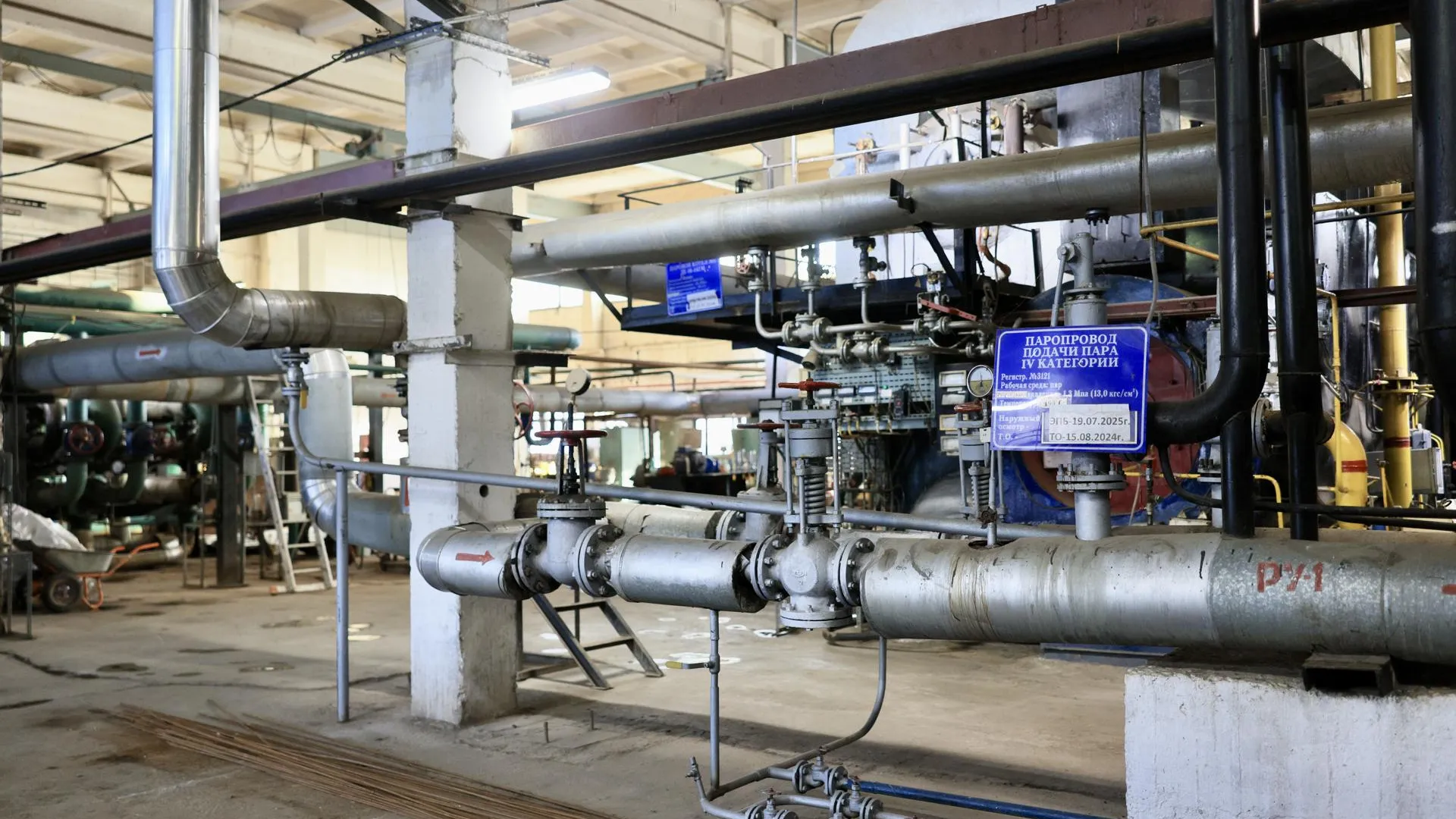 Фото: пресс-служба Администрации г.о. Королев