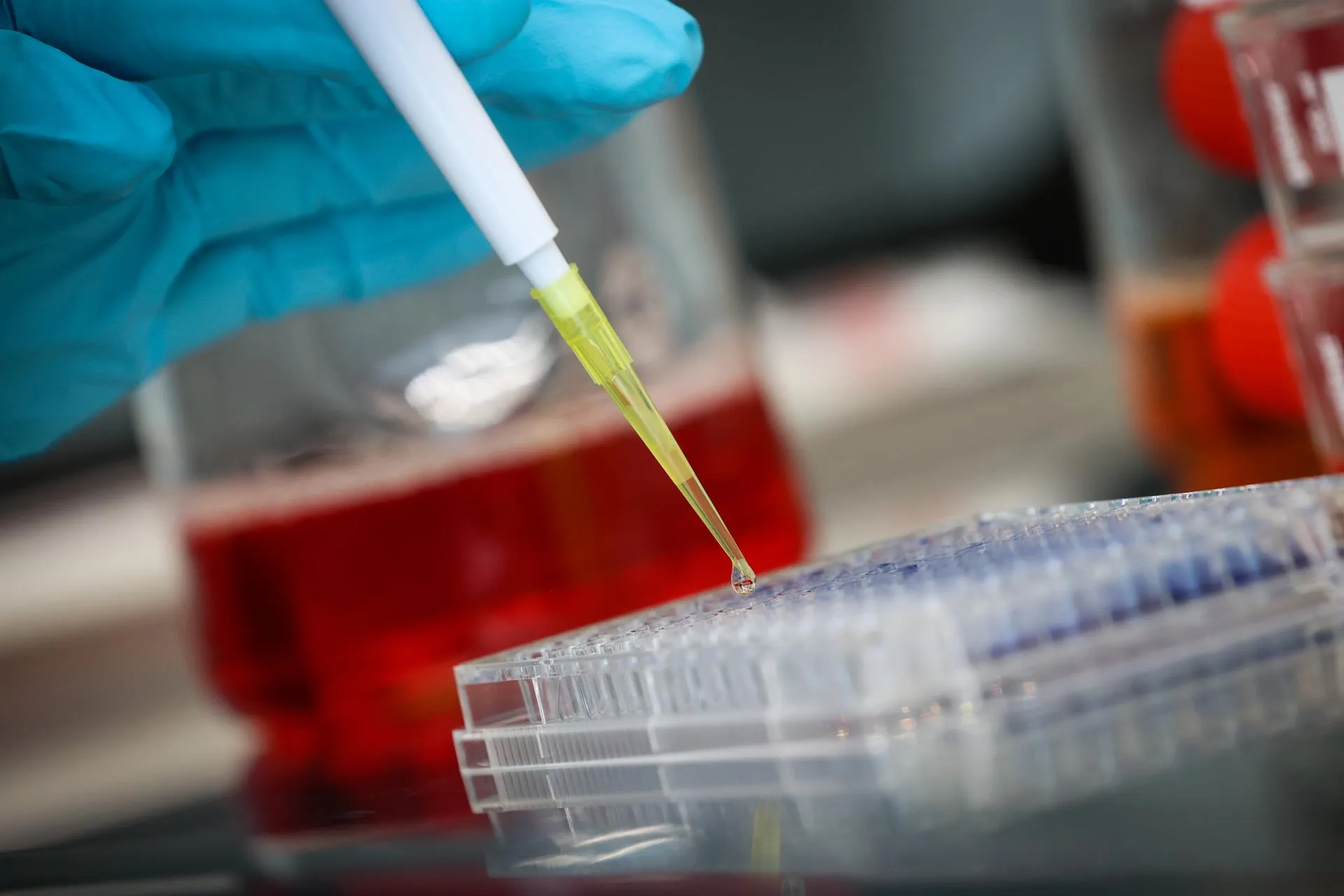 Virginie Lefour/Keystone Press Agency