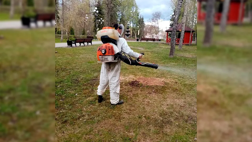 Фото: Центр культуры и досуга и парк «Москворецкий»