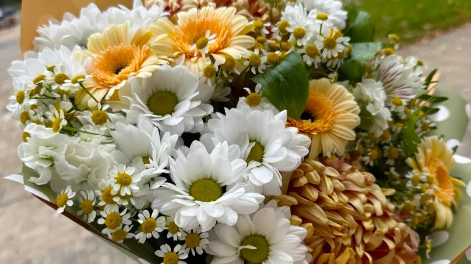 Фото: МедиаБанк Подмосковья/Анна Тюрюмина