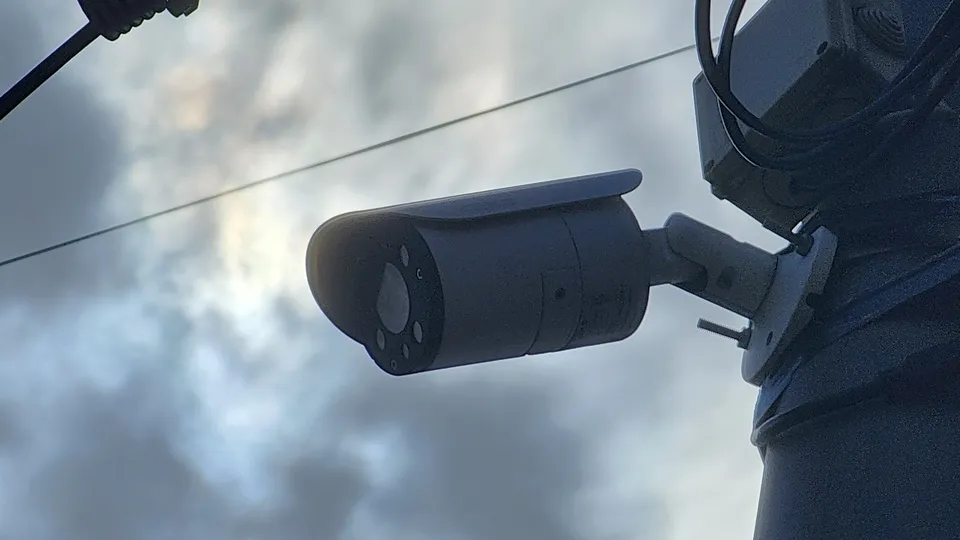 Фото: МедиаБанк Подмосковья/Валерия Исаева