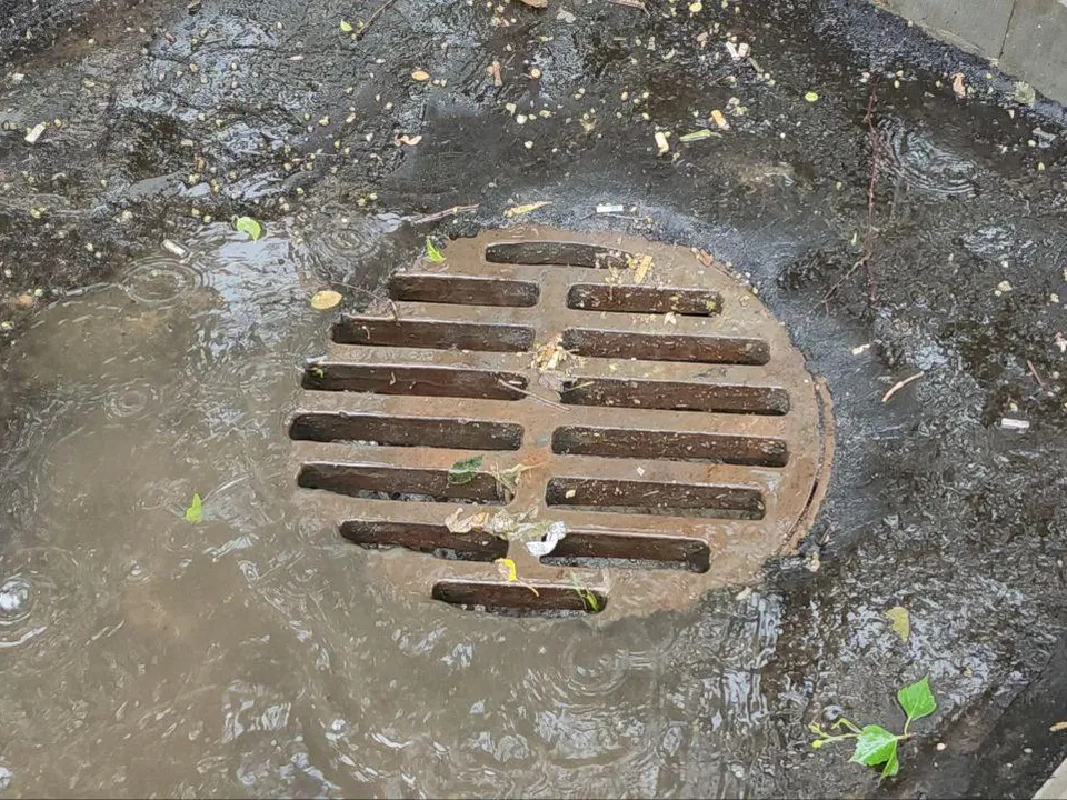 Фото: Наталья Лымарь