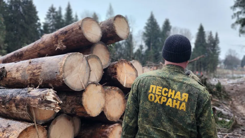 Фото: МедиаБанк Подмосковья/Валентина Максимова