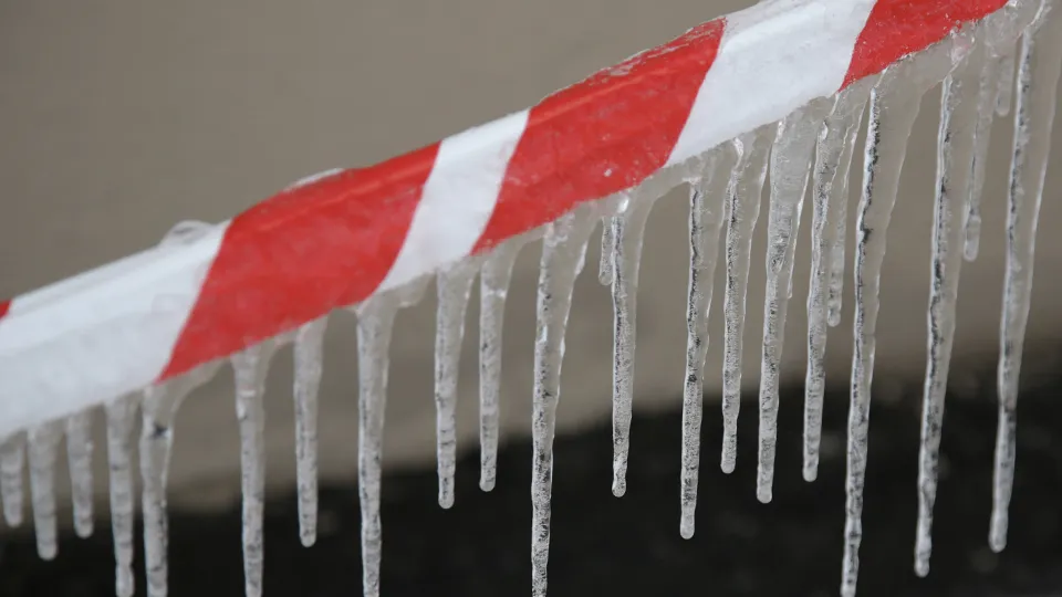 Фото: ТАСС/Антон Ваганов