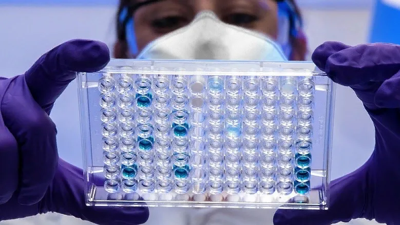 Фото: Unsplash.com