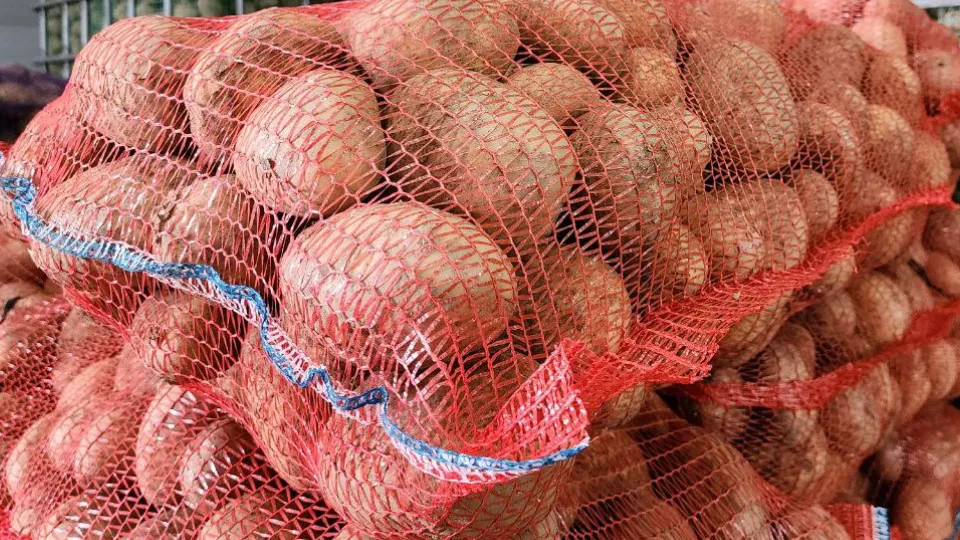 Фото: МедиаБанк Подмосковья/Яна Шаливская