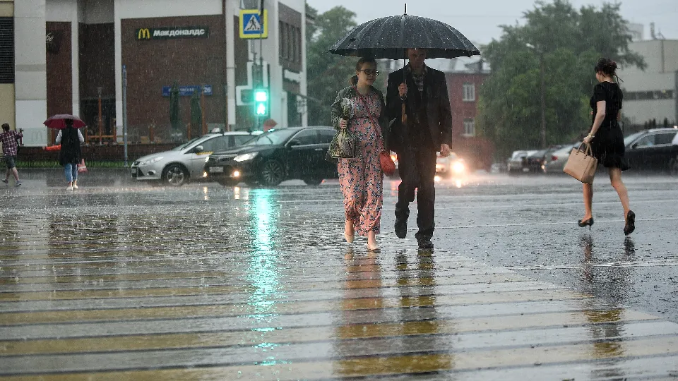 Фото: медиасток.рф