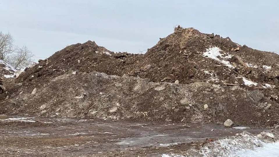 Фото: Министерство экологии и природопользования Московской области