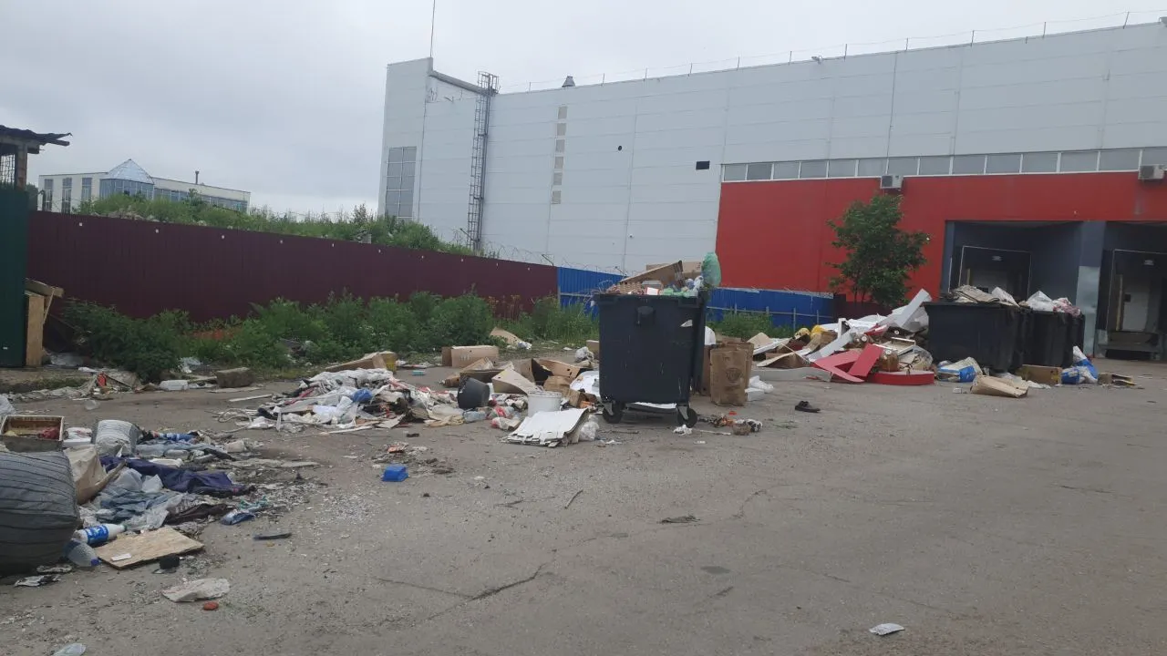 Фото: t.me/real_solnechnogorsk