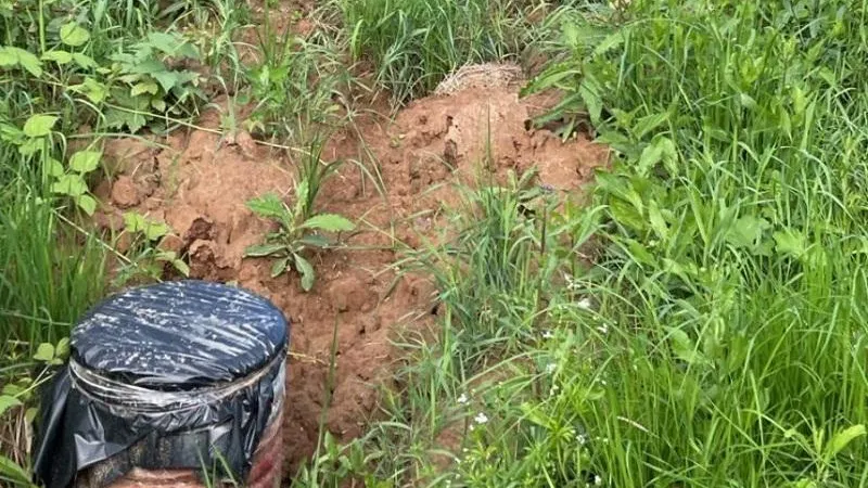 Минэкологии МО.